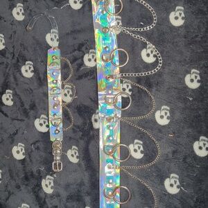 Holographic collar & belt